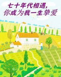七十年代携手一生全文免费阅读