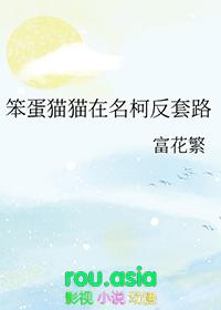 看笨蛋猫猫