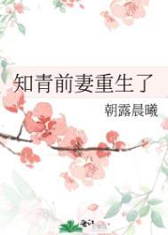 重生知青在返程前
