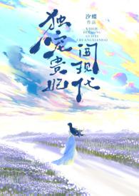 贵妃独得恩宠