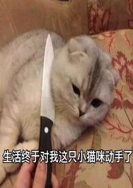 新欢旧爱po