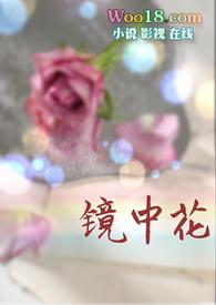 镜中花(高干 娱乐圈 H)作者 无梦