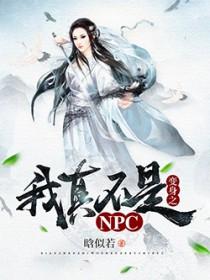 我真不是npc晋江