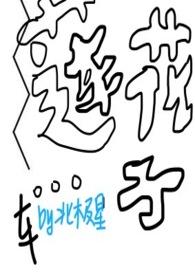 莲花txt