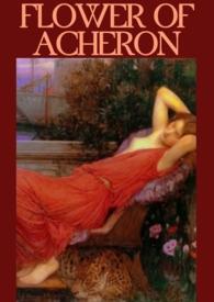 恶毒女配不洗白简介