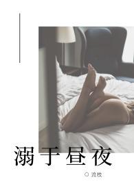 溺于昼夜(高HNP)