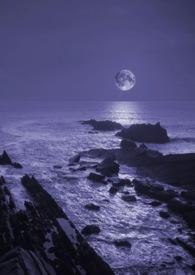 暗夜深海在哪个台播出