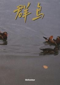 群鸟飞舞是成语吗
