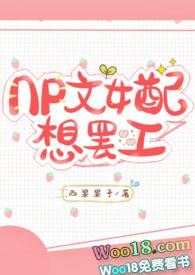 np文女配想离婚晋江