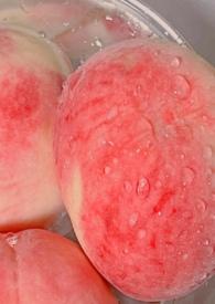 白桃(父女)笔趣阁