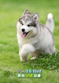 小奶狗在线阅读