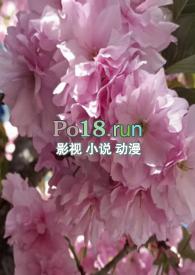 write as 调教室