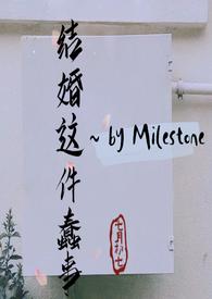 结婚是件疯狂的事阅读