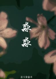 新淼建设集团有限公司