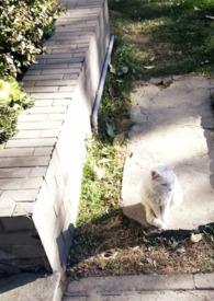 媚欢by乔亦暖免费阅读