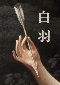 白羽是哪本