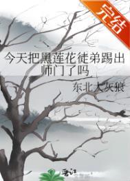 今天黑莲花洗白了么