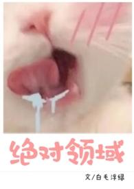绝对领域神作电影