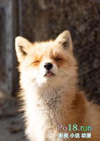 睡了反派男二之后(1v1)百度