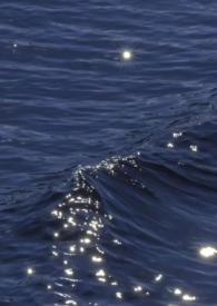 一朝欢免费阅读