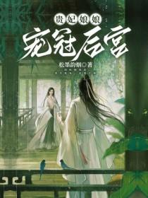 贵妃娘娘是谁?