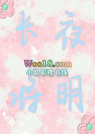长夜将明讲什么