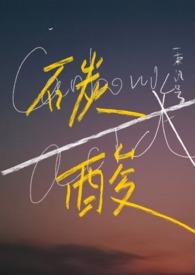 碳酸苏打晋江