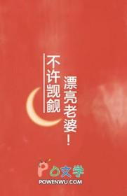 不许觊觎我老婆