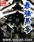 最强黑客顶点