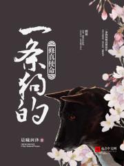 一条狗的使命是真实改编的吗