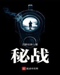 密战风云电视剧全集免费观看