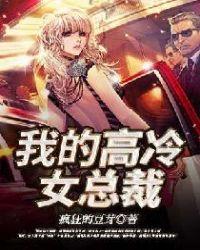 我的高冷女总裁陈宇