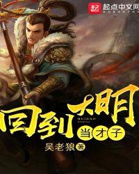 回到大明 当才子