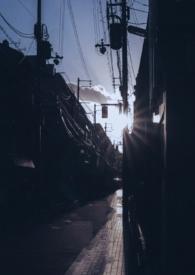 你是我的曙光1v1全文