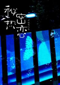 秘密热爱你全文免费阅读