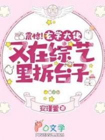 玄学大佬穿回来了[娱乐圈