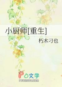 电视剧小厨师