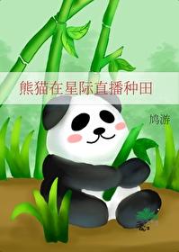 熊猫萌炸星际