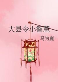 大县令小仵作全文免费