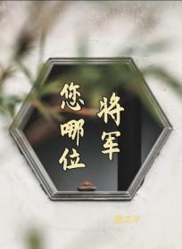 你这是将军啥意思