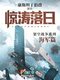 惊涛落日全本