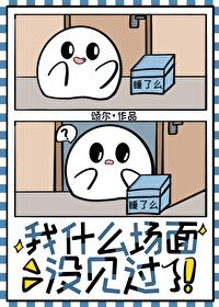 我什么没见过什么