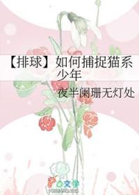 排球少年招数