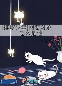 排球少年女朋友
