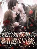 嫁给残疾哨兵带他重返SSS级TXT