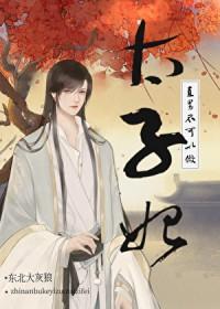 直男不可以做太子妃!(穿越重生)晋江