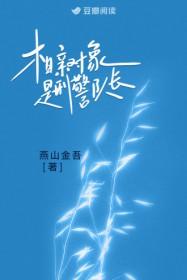 相亲对象是刑警队长晋江