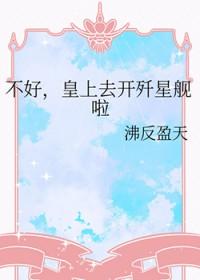 皇上去开歼星舰啦晋江