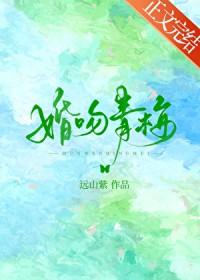 婚吻青梅 远山紫