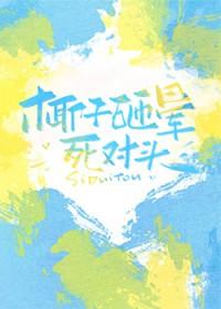 椰子砸伤人